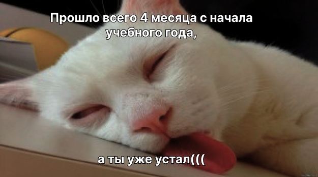 «Где моё новогоднее настроение?» Почему бывает грустно в праздники и что с этим делать