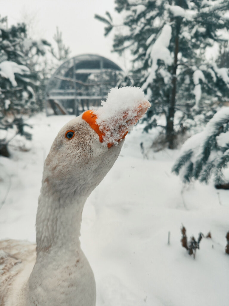 Фото из личного архива Веры Пахомовой
