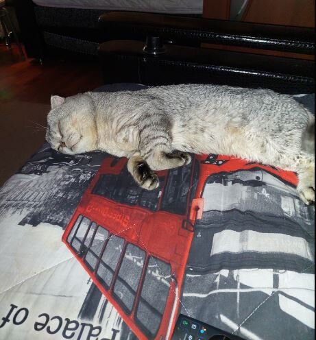 Фред: зимняя трудовая вахта