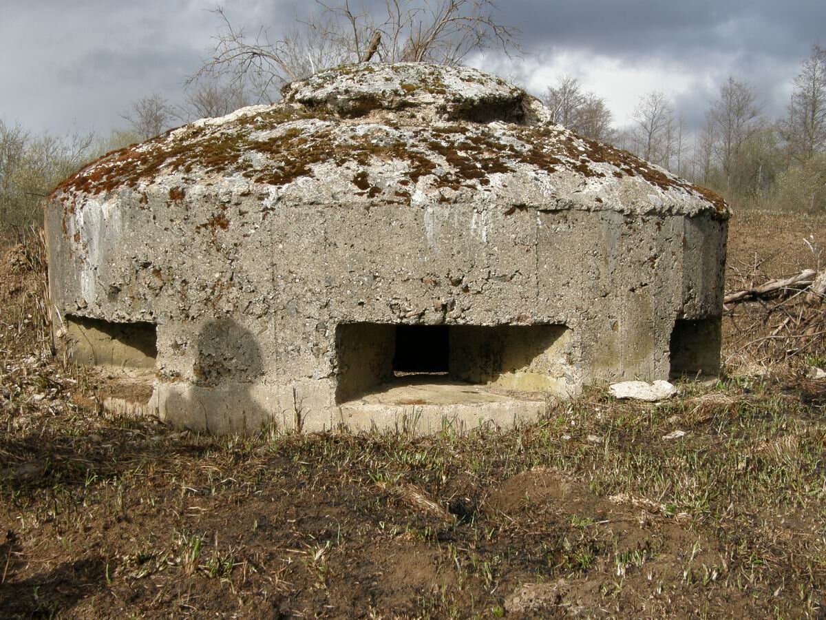 Дзот образца 1812 года 5 букв сканворд