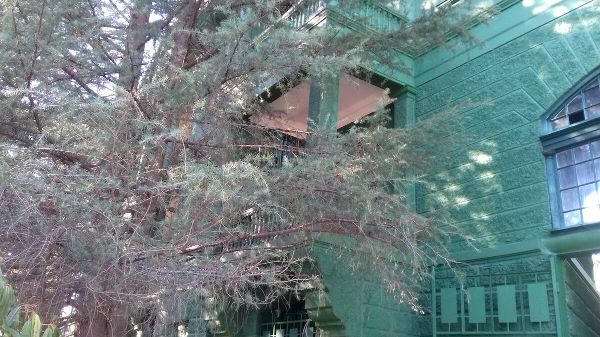 Дача Сталина в Сочи.