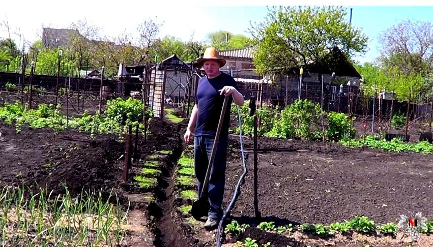 Фото траншеи для закладки магистралей системы капельного полива  