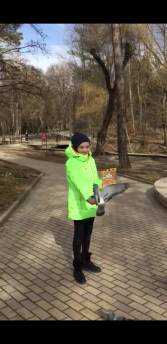 Обнаглевшие голуби заполняют город !!! Некоторые думают что птицы голодают в холодное время 🌨. Они ооооочень сильно ошибаются 🤯. Голуби живут даже лучше некоторых людей . Долг каждой мамочки покормить этих ненасытных существ со своим чадом. Ведь самое интересное то что они будут есть пока не перестанут сыпать еду . Они не чувствуют меры 🤷‍♀️. Но они точно не лопнут, и не умрут от разрыва кишечника ... . Вот есть вопрос который не дает мне спать по ночам . Как голуби могут испачкать белую машину - черным , а черную машину - белым? А? Действительно , есть над чем подумать🤔 Кисловодские голуби сильно отличаются от Воронежских . Воронежские голуби измотанны и потрепанны проживанием в Воронеже . Жизнь у них явно не сахар , и даже не батон . Все они - облезлые ,грязные и больные . В Кисловодске - все в точности наоборот. Они жирные, чистые, и без оторванных лапок . И еще они ручные☺ (гыгыгы) . Вот прилетел он " жрякать", все съел- сидит на руке и ждет пока эта дура (я👩) догадается насыпать еще. Потом этих наглых существ вообще невозможно было прогнать , они сидели на голове,плече , коленке- там же и дрались , как будто меня не видели и меня это крайне возмутило . Я встала и демонстративно отдала все семечки белке 🐿. Я думаю то что они меня покрыли матом на голубином🤷‍♀️ .
В Воронеже голуби даже не способны издавать звуки ,( только когда дерутся , или умирают ) . В Воронеже голуби дерутся за еду с жителями мусорки , и к сожалению , редко выигрывают . Ведь голубь съеденный бездомным - обычное дело , а вот бездомный съеденный голубем- редкость . Думаю что это страшное зрелище- смотреть как "голубь - мутант" сворачивает шею бомжу и сразу же высасывает глаза👁 . Но нельзя забывать то что в Воронеже - все возможно 😳
.