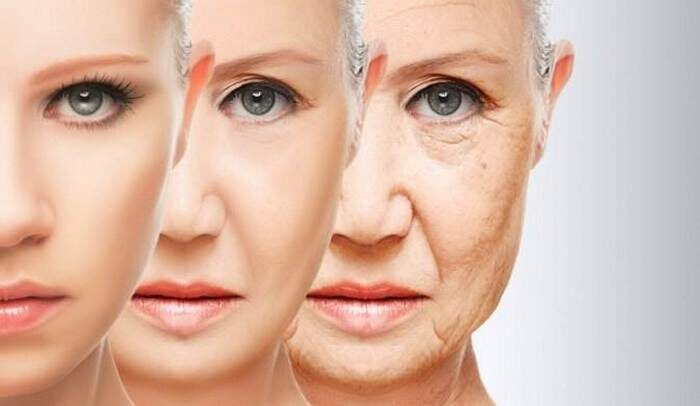 Группа  врачей из Медицинской школы Нью-Джерси под руководством доктора  медицины Бориса Пасховера провела исследование, которое показало, что  качество роликов на Youtube, посвященных эстетической хирургии лица,  остается невысоким. Эксперимент показал, что сегодня видео не могут быть  источником достоверной и правдивой информации.