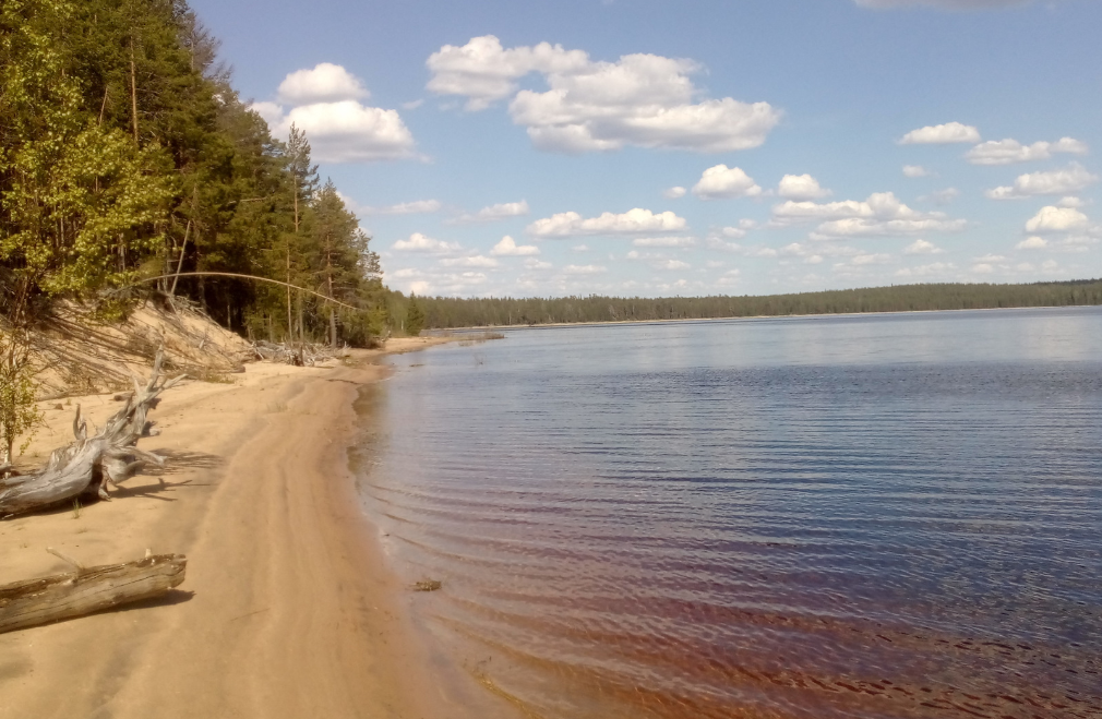 Кожозеро. Фото Drive2
