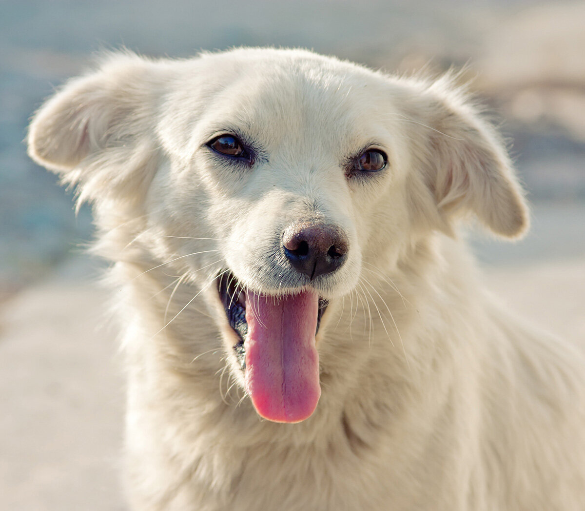 Фото из открытого источника