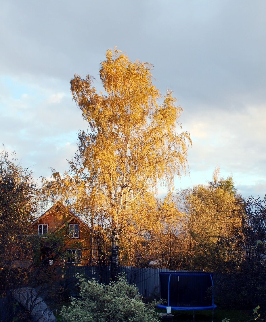 Когда я вернусь все также будут самый длинный день и самая короткая ночь.   Подойду к дому и привычно просуну руку в отверстие калитки, чтобы открыть задвижку. Во дворе меня никто не встретит лаем.  Да и ка могло бы быть иначе?  Столько времени прошло. Другие люди, другие привычки. Но беседка стоит на прежнем месте. В ней сидят молодая женщина и мальчик лет пяти –шести.  Она читает ему книгу. Как странно слышать чтение вслух. Когда уходил,  уже такого чтения не было – каждый читал про себя и для себя.  Но я успел застать те времена чтения вслух. Хорошо помню, как мама читала мне в этой же беседке. Неужели любовь к чтению возвращается через поколения? Сколько же должно было пройти времени, чтобы вернулась любовь к чтению вслух?   Интересно, кем они мне приходятся?  Женщина, наверное, моя внучка. Очень похожа на мою мать.  Такая похожесть, как и чтение, передается через поколение. Мальчик, следовательно, мой  правнук.  Затрудняюсь ответить, на кого он похож.  На мужа моей внучки, на своего отца. Но того, на кого он  похож,  здесь нет – мужа и отца.
Когда я вернусь, они отвлекутся от чтения, внимательно посмотрят на меня. Мальчик скажет: «Здравствуй, папа», а женщина предложит чаю. Я не откажусь, присяду на краешек стола и попрошу к чаю баранок.  Женщина придвинет тарелку с баранками и заметит мне: «Время совсем не изменило тебя». А потом добавит: «Я так ждала тебя».
«Я сразу догадался, что ты мой папа», - произнесет мальчик. Потом отложит книгу и обязательно спросит меня: «Ты поиграешь со мной в футбол?» Женщина строго ответит мальчику за меня: «Дай отцу отдохнуть. Он же проделал такой долгий путь, чтобы вернуться». Молодая женщина не права. Путь недолог. Всего только мгновение между уйти и вернуться.  Это отсюда путь кажется долгим. Тридцать, пятьдесят, семьдесят лет туда…
Когда я вернусь, мы после чаепития из беседки перейдем в дом. Женщина уложит сына спать на втором этаже и спустится ко мне.  «Курить будешь? – спросит она меня и достанет из комода пожелтевшую пачку сигарет. – Ты так впопыхах от меня уходил, что забыл свои сигареты». Я отрицательно помотаю головой, потому что никогда не курил. 
«Ты останешься? – внешне безразлично поинтересуется она. – Это будет  наша вторая ночь. И у меня появится еще ребенок». Я вновь только покачал головой. Не за тем сюда вернулся. Слишком долго ждал этого мгновения.
Когда я вернусь все также будут самая длинная ночь и самый короткий день. Задвижка на калитке примерзнет, и мне придется приложить немало усилий, чтобы открыть ее. А дверь открою своим ключом. Многое в жизни меняется, но только не замки. Замок – символ не только надежности, но и вечности. Женщина и мальчик будут сидеть на диване, накрывшись одеялом и, прижавшись  друг к другу.  Она читает сыну книгу, а он слушает не очень внимательно. В доме холодно и одиноко.
«Холодно, - пожалуется она мне. – Батареи еле теплые.  Говорят, что в них воздушные пробки образовались. Ты не посмотришь эти пробки? Я в этом совсем ничего не понимаю.  Она ничего не скажет про одиночество.  Но это видно по глазам. По моим глазам, которые стыдливо отвожу, чтобы не видеть чужого одиночества.
Поэтому поспешу спуститься  в подвал и начну насосом гонять воду по трубам, чтобы пробить воздушные пробки.  Работа хорошо мне знакома.  Много-много лет назад, когда я еще не ушел, мне часто приходилось это делать.  Через полчаса трубы хорошо прогреются, и я поднимусь из подвала.
«Спасибо, - скажет она. -  Чтобы мы без тебя делали»?  А мальчик скинет одеяло и подбежит ко мне: «Ура. Папа сделал батареи горячими.  Мама, ты только потрогай. Пальцы жжет. Так горячо. У нас теперь всегда будет тепло. Какой папа у нас молодец. Правда, мам»?
Женщина не ответит сыну и спросит меня: «Ты будешь ужинать»?
«Да, конечно, - отвечу я. – Проголодался и от мороза, и от работы».
Мы пройдем на кухню, и она поставит на стол мою любимую жареную картошку с коричневой корочкой. Откуда она знает мое любимое блюдо. Еще она выставит  бутылку водки и неуверенно скажет: «Я не знаю, пьешь ли ты? В ту ночь не успела узнать».  Потом она виновато улыбнется и спросит: «Ты останешься? Мне так холодно было без тебя».
Я отрицательно помотаю головой, съем картошку, выпью водки и засобираюсь из дома. Пора возвращаться туда, откуда пришел.

У нас в доме было всегда холодно зимой, и еще у меня не было ни брата, ни сестры. А мне так хотелось тепла.  Но это было невозможно – я рос без отца. Некому были починить батареи и завести брата или сестру. Когда вырос, я сам чинил батареи в доме, и у меня были  дочери - сестры. Правда, сводные, но какая, собственно  говоря, разница?  Они были сестрами. В их школьных журналах в графе «отец»  было указано мое имя и записан мой адрес. Разве может быть другой более весомый аргумент, подтверждающий наличие отца, чем запись в школьном журнале. 
Я бы согласился, чтобы в моем школьном журнале в графе «отец» оставался бы прочерк.  Но только пусть отец придет  хотя быодин раз к нам , Починит батареи в доме, чтобы мне и маме стало тепло, а потом может  уходить. Мы не будем удерживать его. Можно избавиться от холода, но не от одиночества. Я верю, что так и  будет.  Тепло и одиноко.  Возможно, не скоро. Возможно, только тогда, когда я вернусь.
