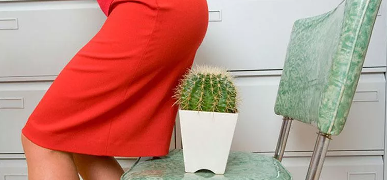 Источник slimify.ru