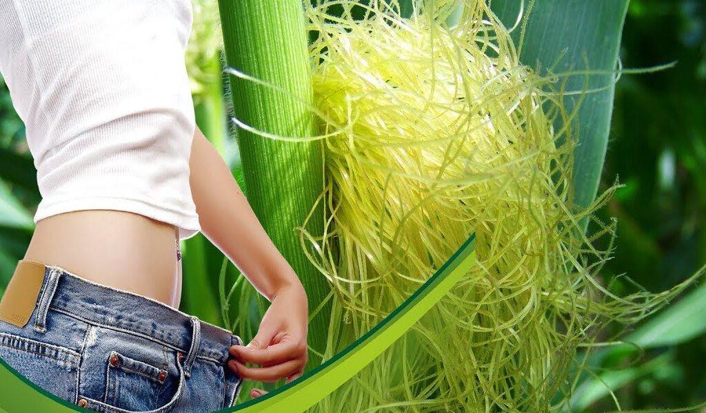 Кукурузные рыльца отвечают за нормализацию обмена веществ. Они действительно работают и килограммы уходят буквально на глазах.