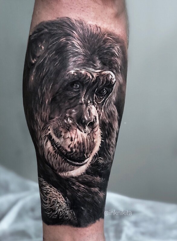 Татуировки обезьян