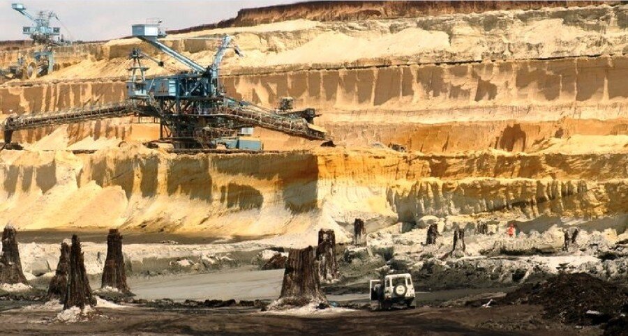 Остовы кипарисовых деревьев под 60-и метровым слоем песка и глины на дне песчаного карьера Beechwesen в Венгрии [1].