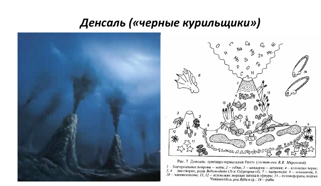 Всемирный Потоп не противоречит науке?!