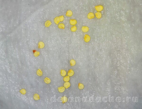 фото из личного архива