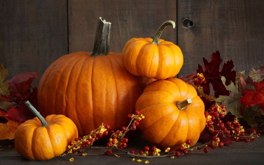 Фото из сети Яндекс картинки.