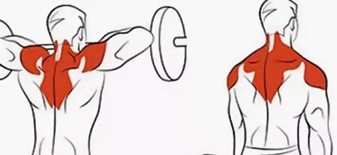 Упражнения на средний пучок. Упражнения на средний пучок дельт. Упражнения на передний пучок плеча. Упражнения на задний пучок плеч. Задние дельты мышцы упражнения.