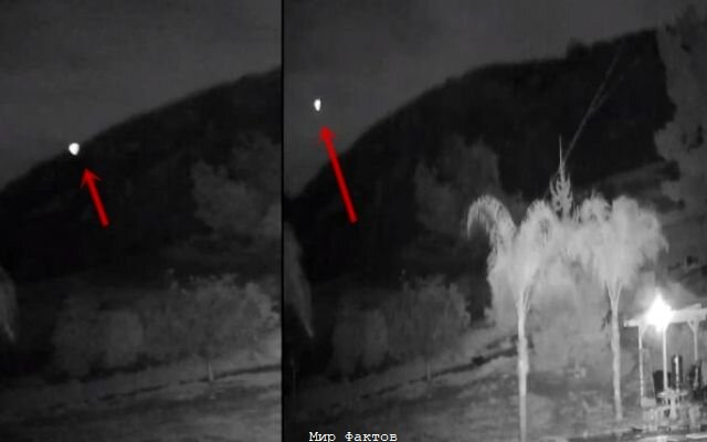 Источник: Рик Ли