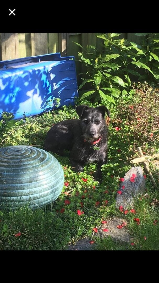 Вивьен дома