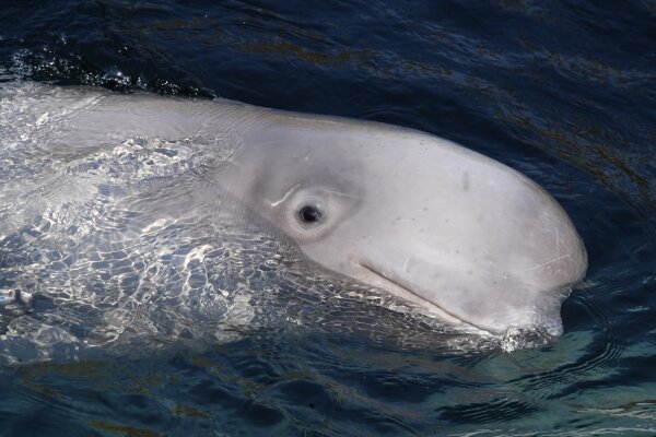 Фото: Виталий Аньков / РИА Новости 