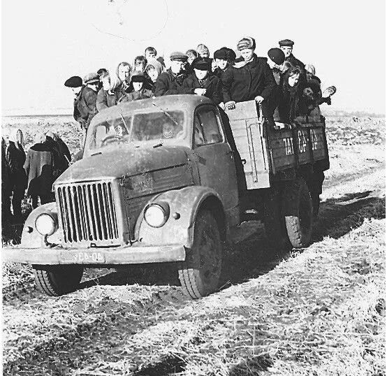 Семейные отношения, женщина, мать