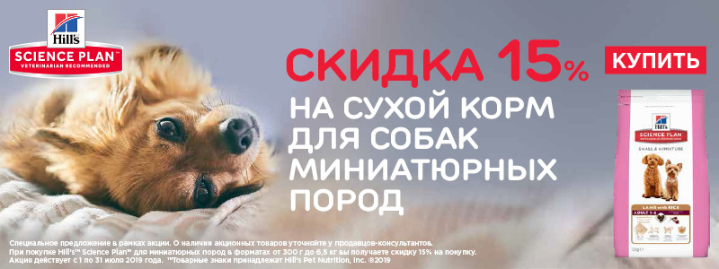 
Подробнее: https://animalpark.by/10-15-na-korma-hills-07072019.html