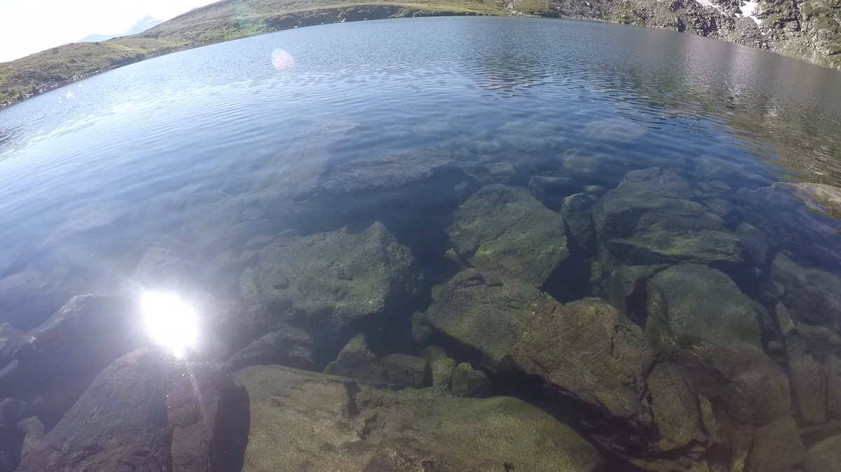 Кадр из видео