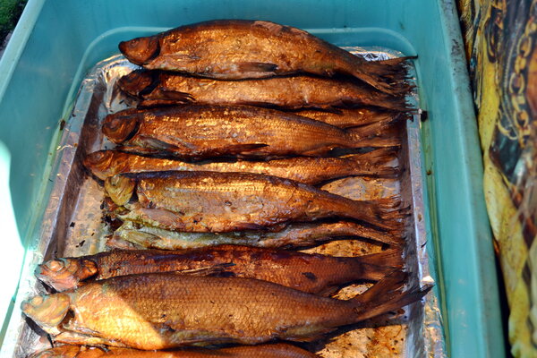 Как коптят рыбу на Байкале: Фирменный рецепт жителей Листвянки