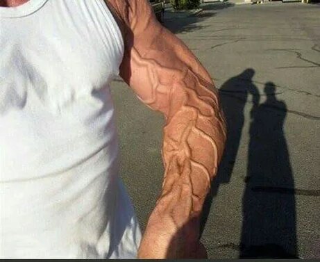                                               Один порез и он мертв