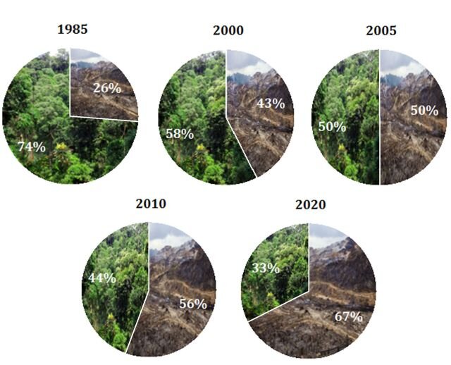 Динамика обезлесения Амазонии. Прогноз 2016 года. К сожалению он не оправдался; ожидается, что при сохранении темпов вырубки от лесов Амазонии останется r 2020 году лишь 10-15% .