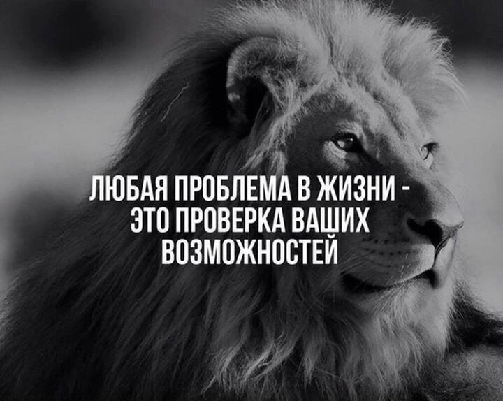 Источник: Яндекс фото