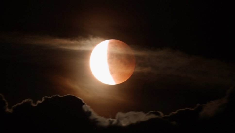 Джастин Сан отказывается от оплаты покупки