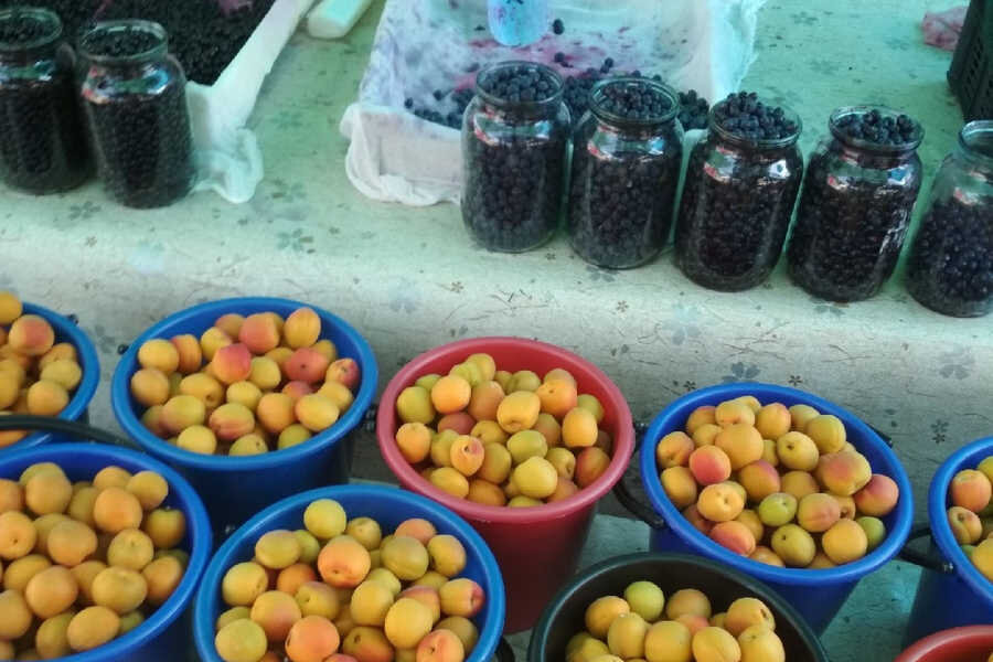 В этом году в Хакасии большой урожай  абрикосов. Цены разные – от 150 до 350 
рублей за ведро. Для сравнения:  в прошлом году их продавали за 400-500 рублей.