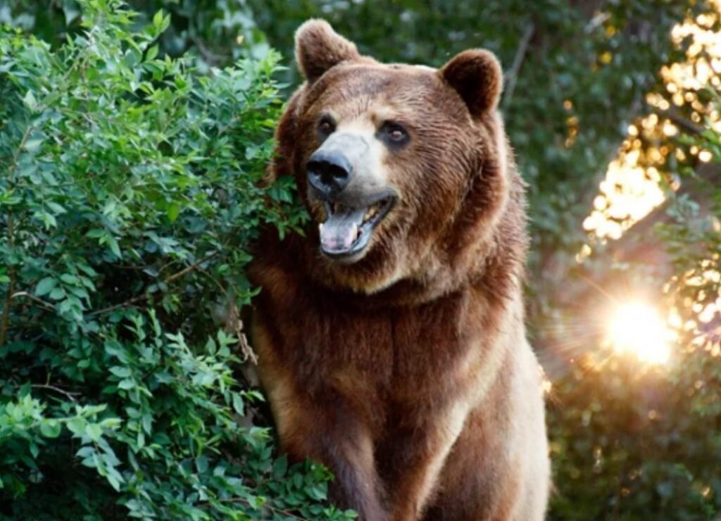 Фото из сети Интернет