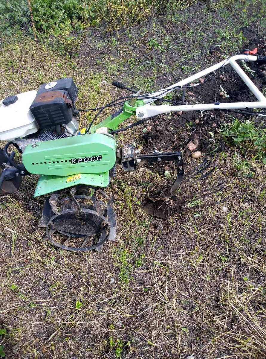 Картошка в этом году на славу. Правда и применяли мы малость иной способ выращивания. Уберем ее, и я все расскажу и опишу сам метод и нюансы.