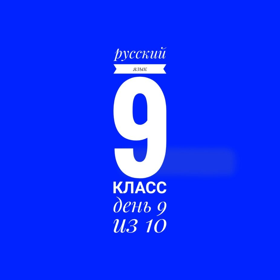 9 класс. Занятие 9 из 10 | Суднева: уроки русского языка | Дзен