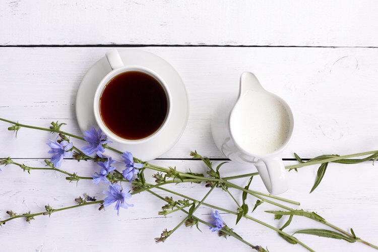 фото взято из источника: https://med.vesti.ru/articles/pitanie-i-zozh/tsikorij-rastvorimyj-poleznye-svojstva-i-protivopokazaniya/