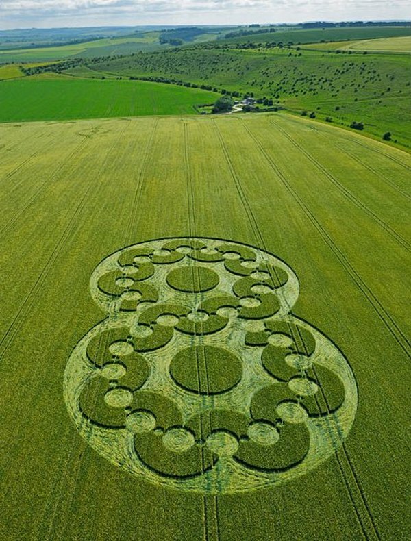 Фото с интернета.