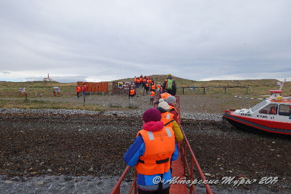 С ноября по апрель пингвины выводят и растят на о.Магдалены потомство, а потом перебираются в более теплые воды. По острову проложена маркированная тропа длиной 850 метров, от берега до макушки, где стоит маяк Faro Isla Magdalena. На фото: сходим с ботика и по тропе движемся в глубь острова.