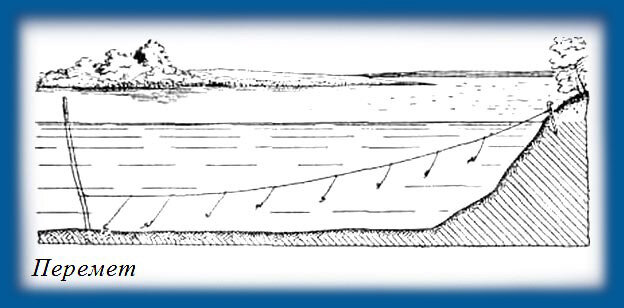 Фото взято из Яндекс картинок