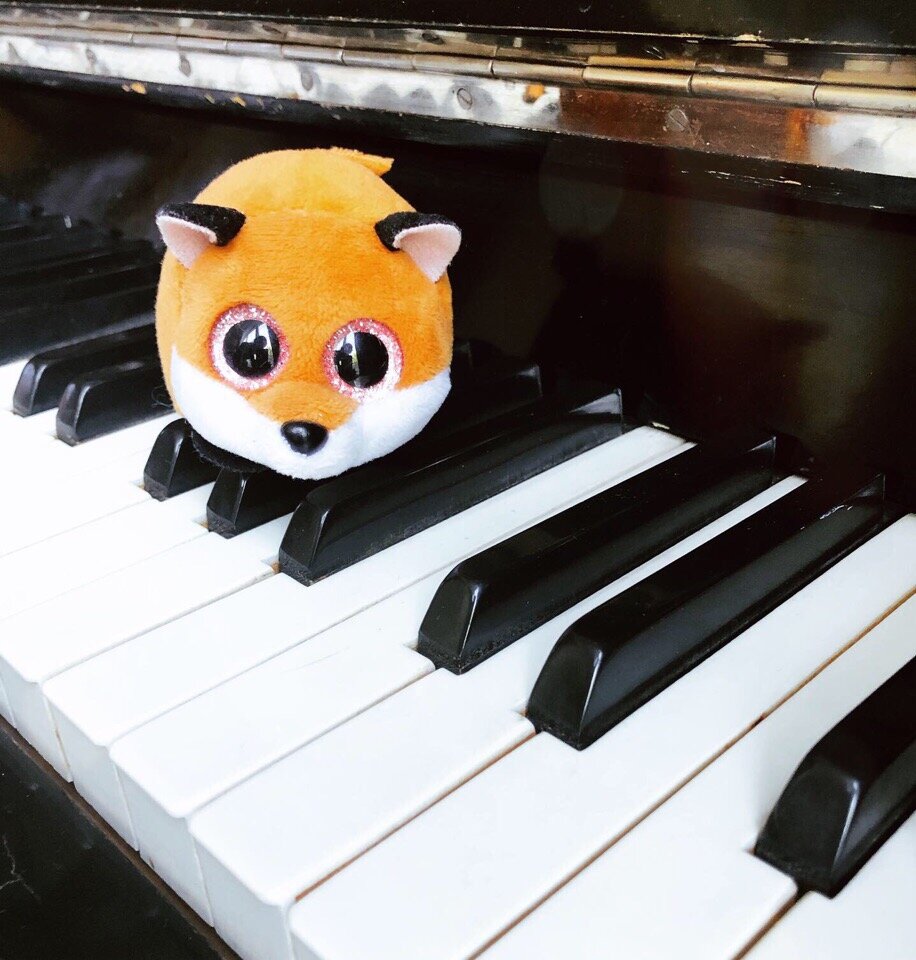 Что общего и в чём различия?