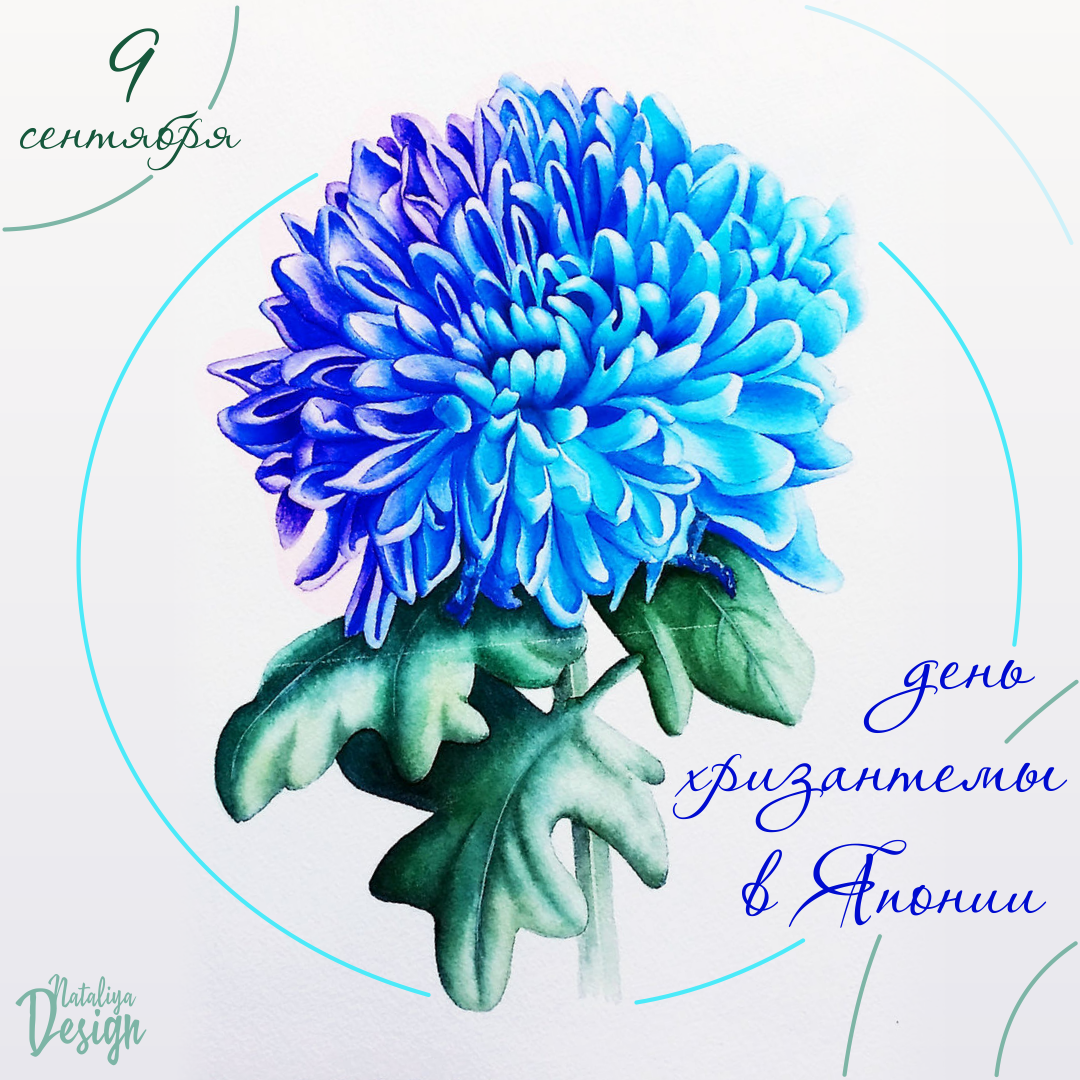 День хризантемы в Японии