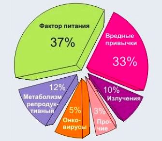 Медицина Пророка. Современность