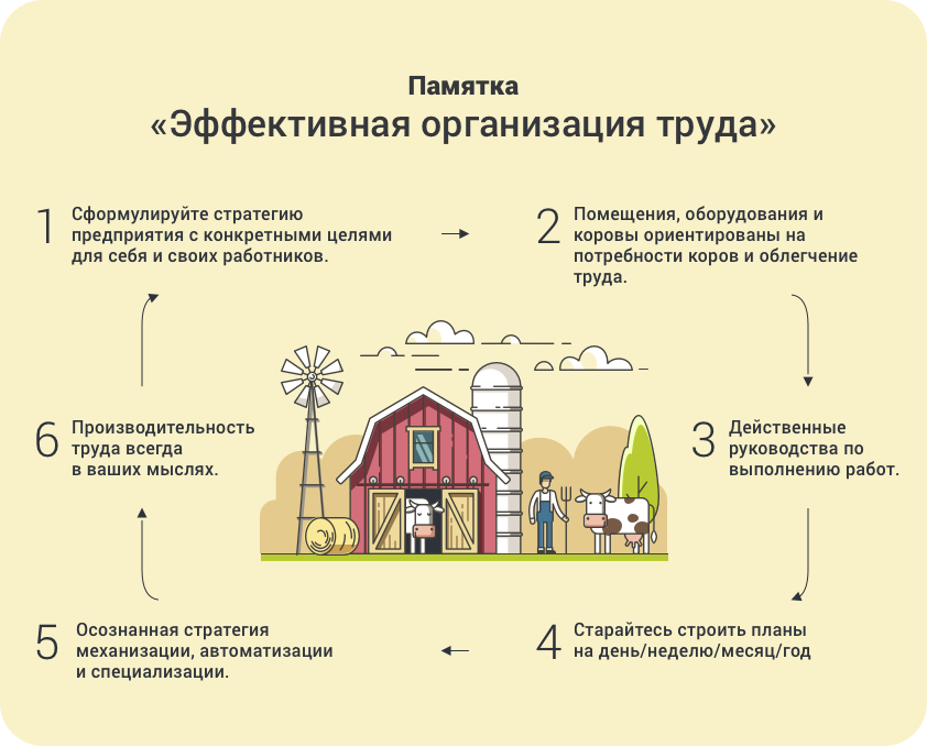 Эта модель менеджмента поможет вам структурно улучшить производительность труда на вашей ферме.   Источник информации: www.direct.farm 