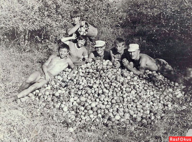  Одним из неотъемлемых признаков жизни в СССР была поездка «на картошку».-3-2