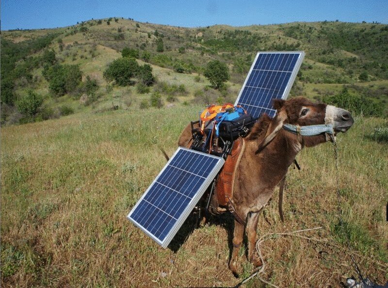 Источник: "Яндекс Картинки"