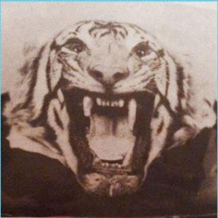 Источник: yavarda.ru/champawattiger.html