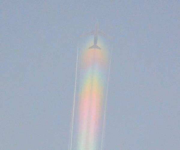 Источник: @ViralHog