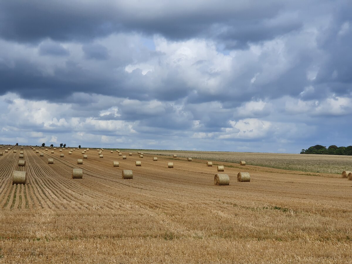 Уилтшир, Англия