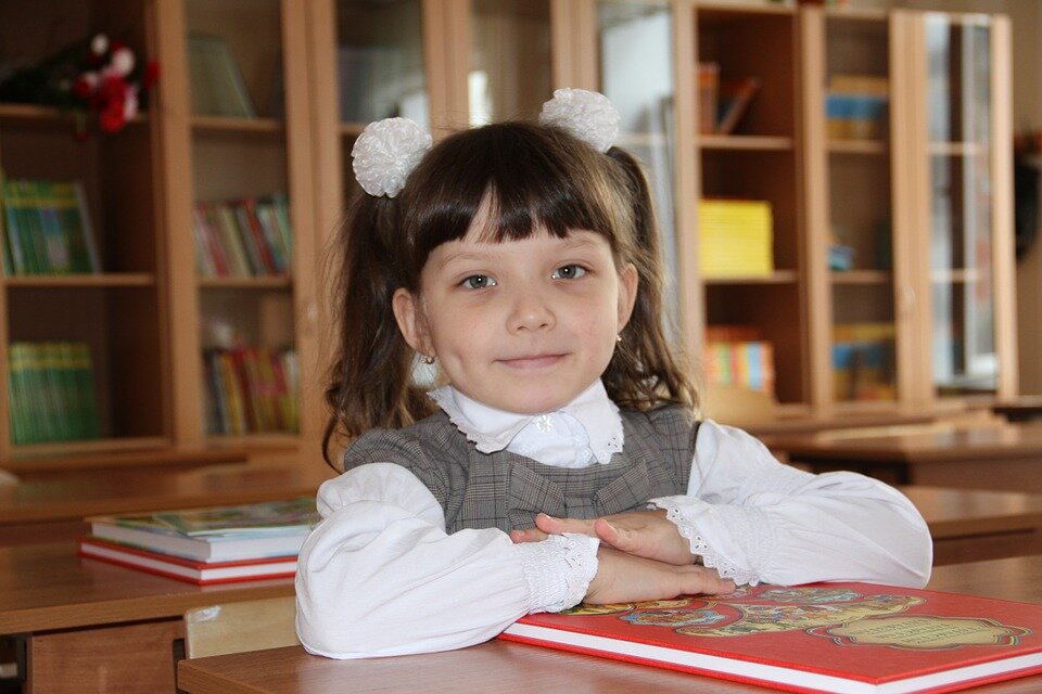 https://cdn.pixabay.com/photo/2015/10/16/09/49/schoolboy-990795_960_720.jpg