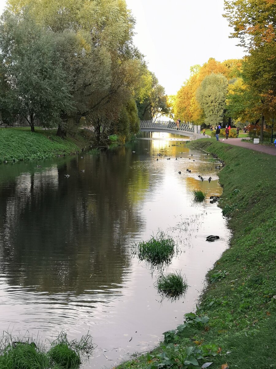 Таврический Сад 05.10.19.