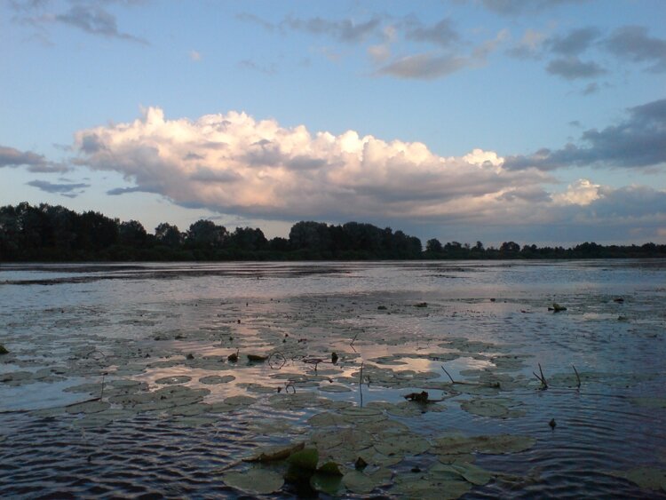 Елань река